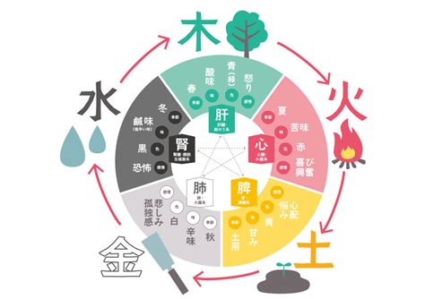 春夏秋冬 五行|春木、夏火、秋金、冬水、四季土，五行与季节存在着很深的联系